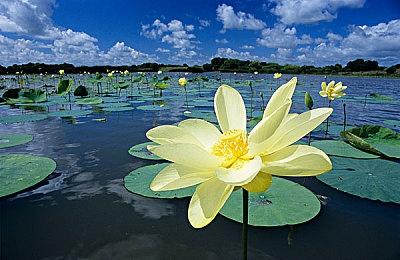 传微软将携《光环》等游戏全力支持全新NS2主机