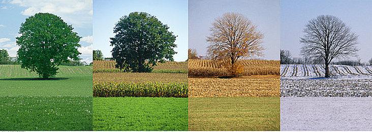 《伊苏X -诺曼荣光-》登陆Switch 2 系统与性能大幅提升